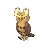 noctowl — black white