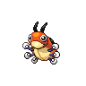 ledyba — black white