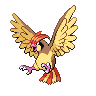pidgeotto — black white