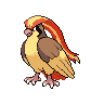 pidgeot — black white
