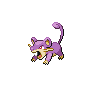 rattata — black white