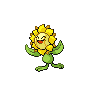 sunflora — black white