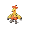 combusken — black white