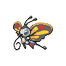 beautifly — black white