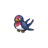 taillow — black white