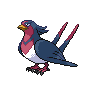 swellow — black white
