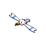 wingull — black white