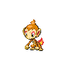 chimchar — black white