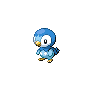 piplup — black white