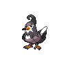 staravia — black white
