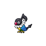 chatot — black white