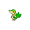 snivy — black white