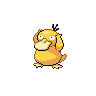psyduck — black white
