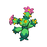 maractus — black white