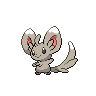 minccino — black white