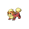 growlithe — black white