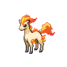 ponyta — black white