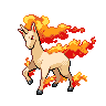 rapidash — black white