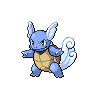 wartortle — black white
