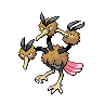 dodrio — black white