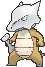 marowak — x y
