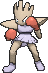 hitmonchan — x y