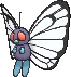 butterfree — x y