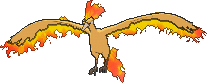 moltres — x y