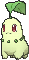 chikorita — x y