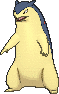 typhlosion — x y