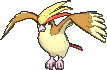 pidgeot — x y