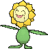 sunflora — x y