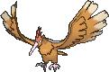 fearow — x y