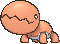 trapinch — x y