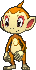 chimchar — x y