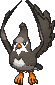 staravia — x y