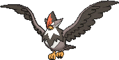 staraptor — x y