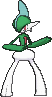 gallade — x y