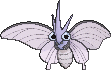 venomoth — x y
