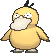 psyduck — x y