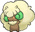 whimsicott — x y