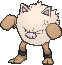 primeape — x y