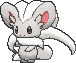 cinccino — x y