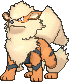 arcanine — x y