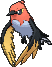 fletchinder — x y