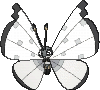 vivillon — x y
