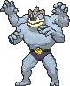 machamp — x y
