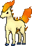 ponyta — x y