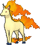 rapidash — x y