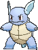 wartortle — x y